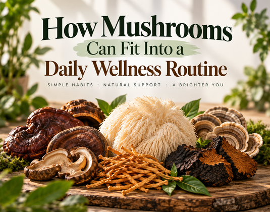 How Mushrooms Can Fit Into a Daily Wellness Routine