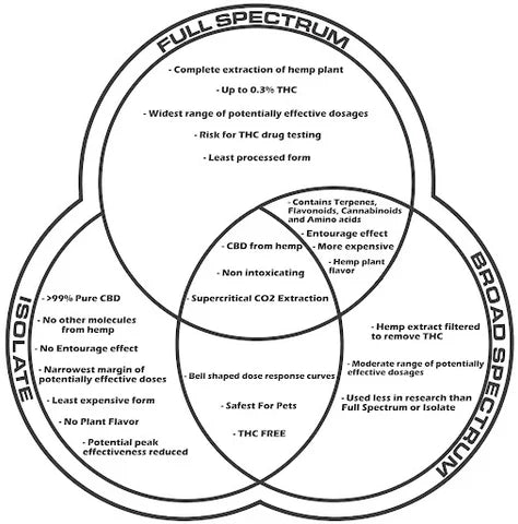 Full Spectrum, Broad Spectrum, and CBD Isolate: What’s the Difference and What Are the Benefits?
